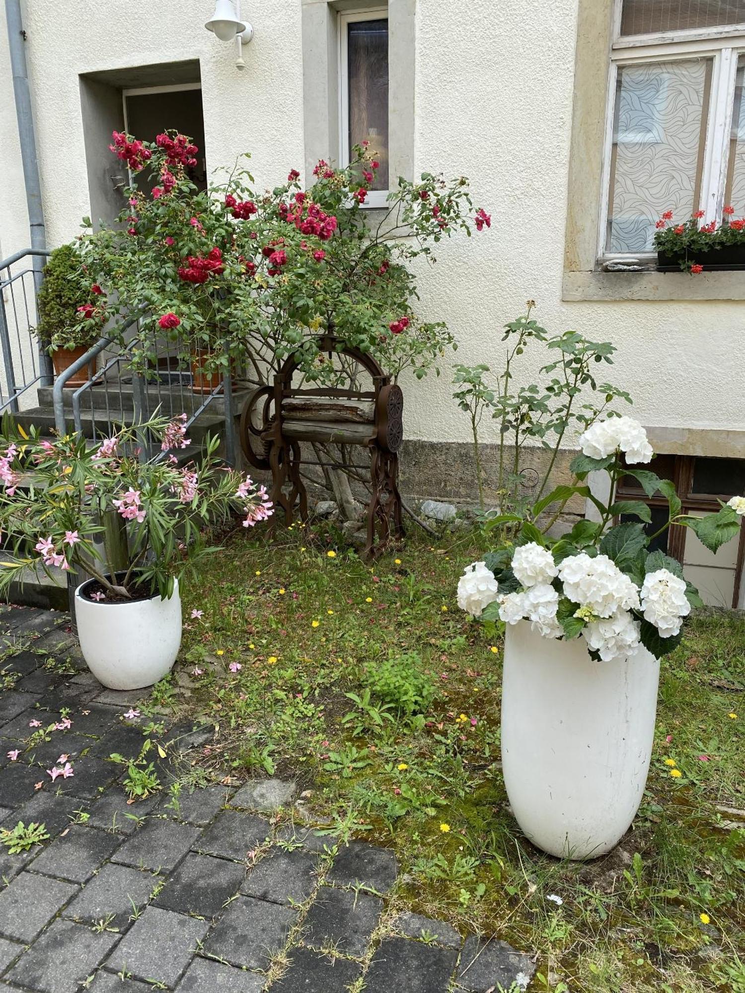 Apartments Und Zimmer Gaestehaus Matthias Dresden Exterior photo